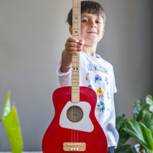 Pro Acoustic | Rosu | 6+ ani – imagine 4