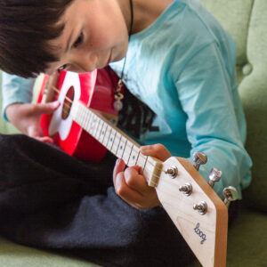 Pro Acoustic | Rosu | 6+ ani – imagine 6