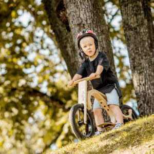 Modul pentru Coborare Leg&go – imagine 4