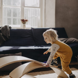 Balance Board | Mare – imagine 4