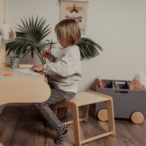 Set Masă și Scaun pentru Spalier – imagine 7